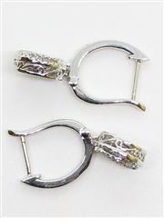 10k 4.3g White Gold Diamond Huggie Dangle Illusion Iris Eye Unique Earrings